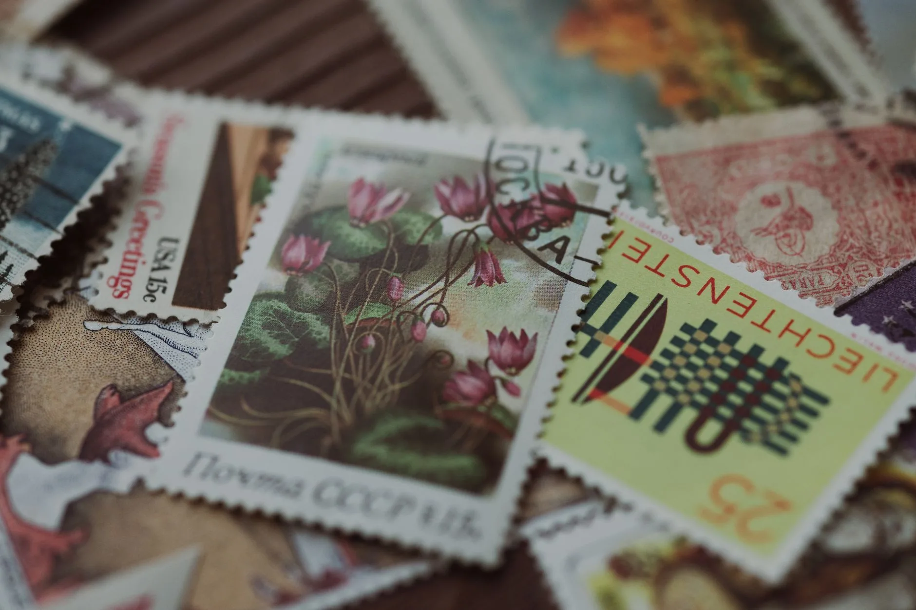 Photo by Tolga deniz Aran on Pexels | Surat Izin Untuk Usaha Dagang illustration