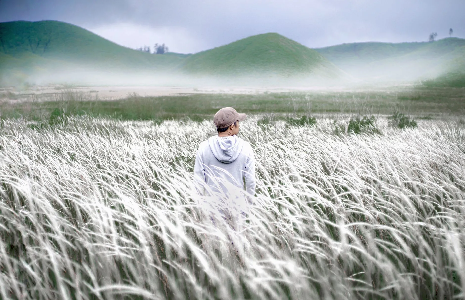 Photo by Ayub Rahman on Pexels | Kekurangan Perseroan Terbatas illustration